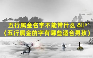 五行属金名字不能带什么 🪴 （五行属金的字有哪些适合男孩）